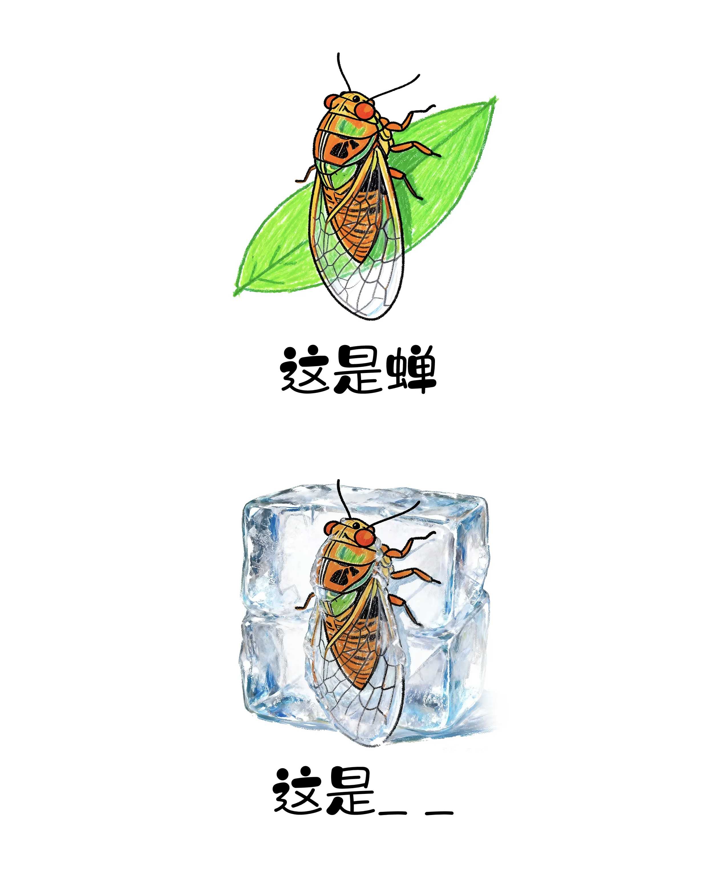 维多利亚(中国品牌)官方网站-Victoria Company